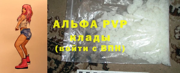 jwh Карпинск